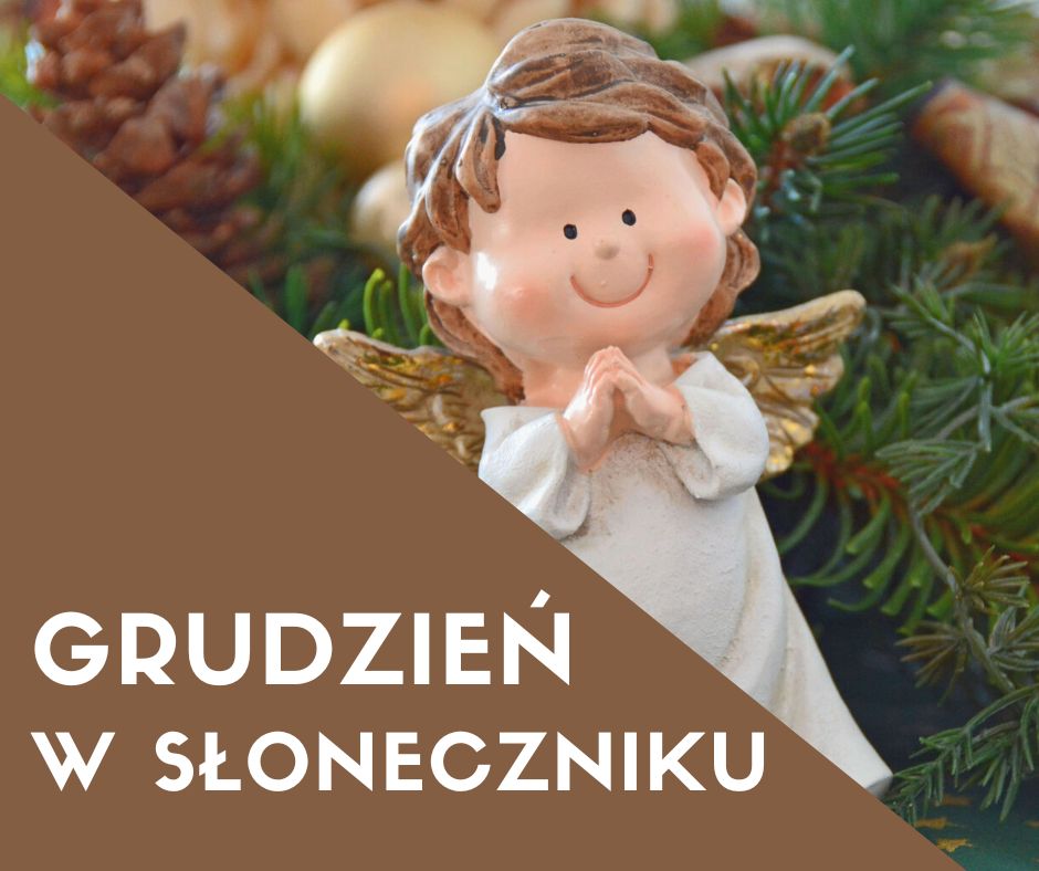 Read more about the article Grudzień w Słoneczniku