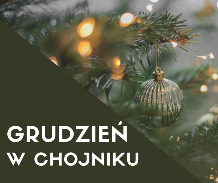 Read more about the article Grudzień w Chojniku