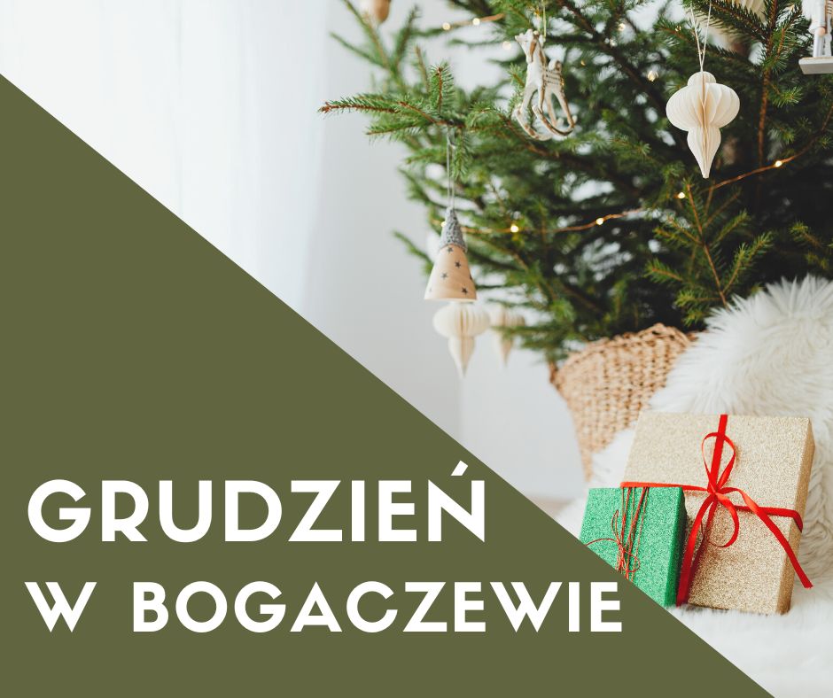 Read more about the article Grudzień w Bogaczewie