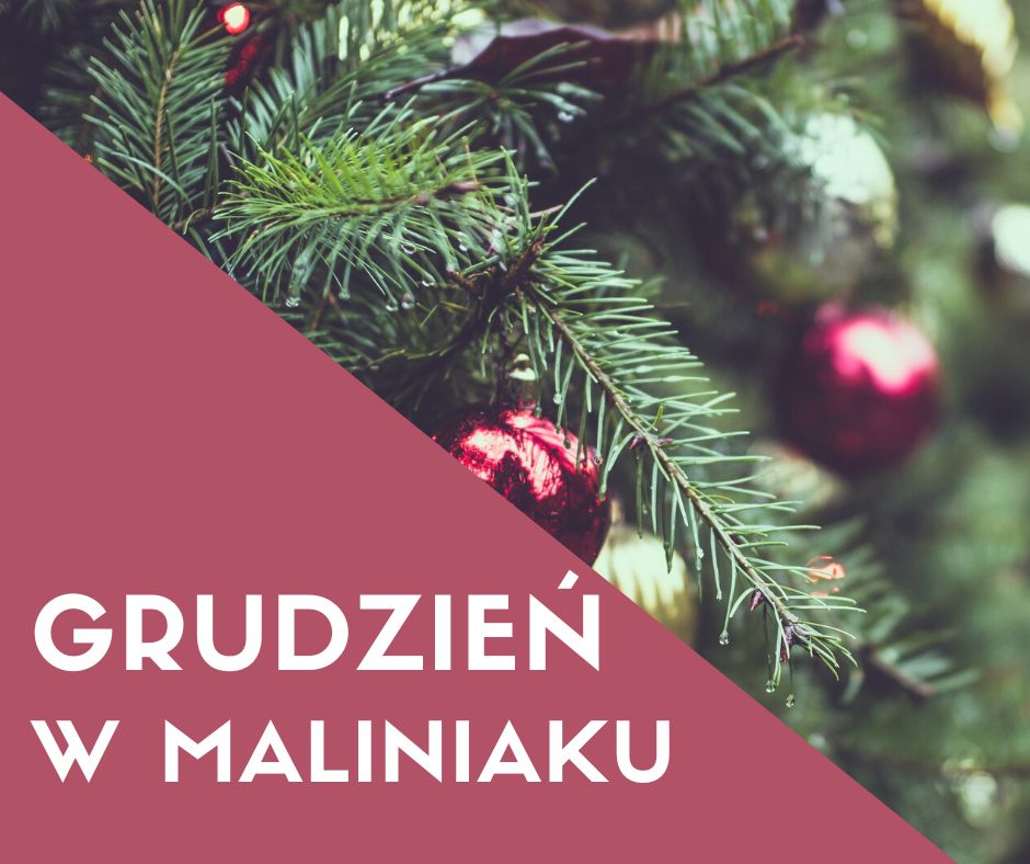 Read more about the article Grudzień w Maliniaku