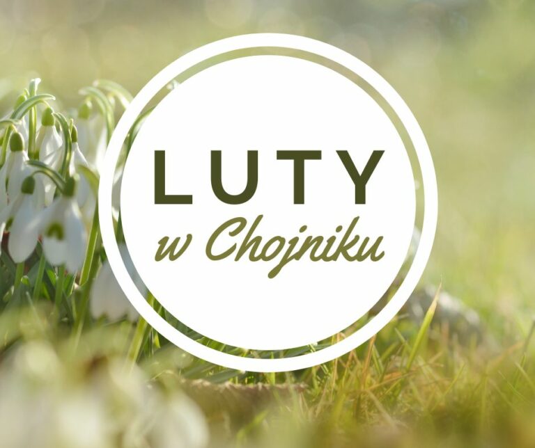 Read more about the article Luty w Chojniku