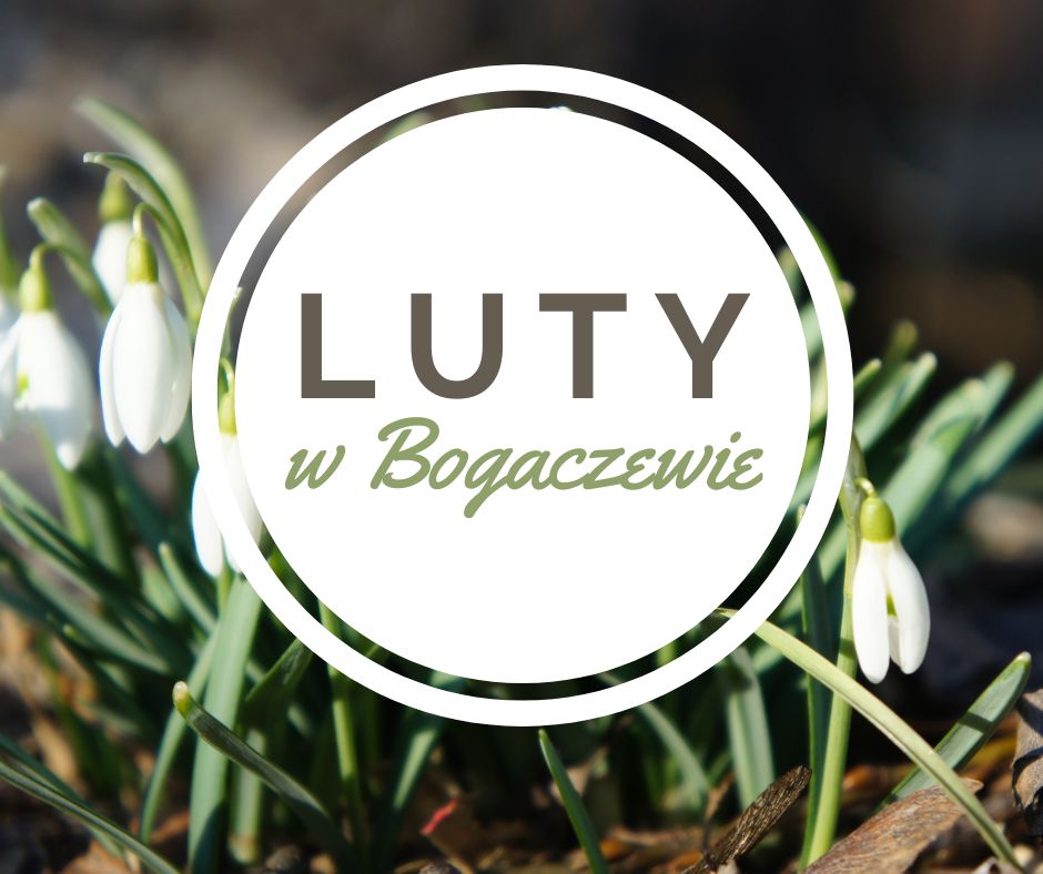 Read more about the article Luty w Bogaczewie