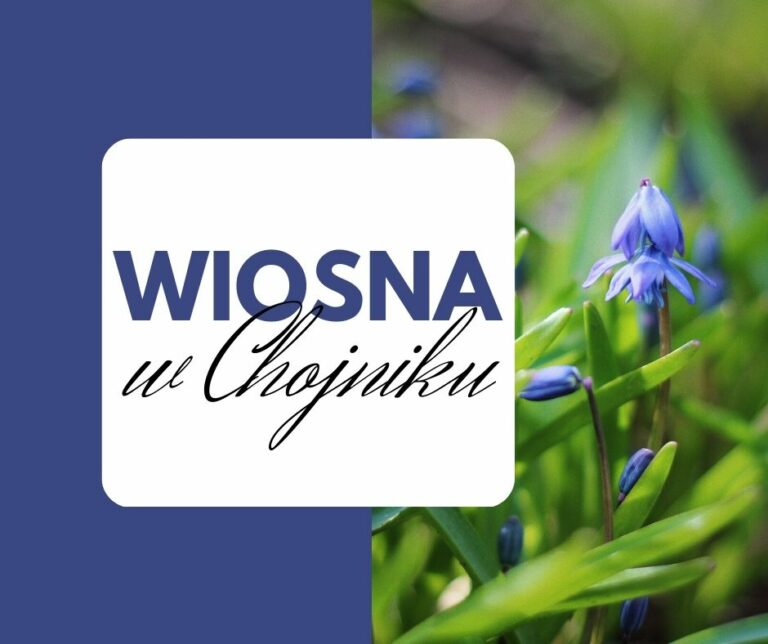 Read more about the article Wiosna w Chojniku