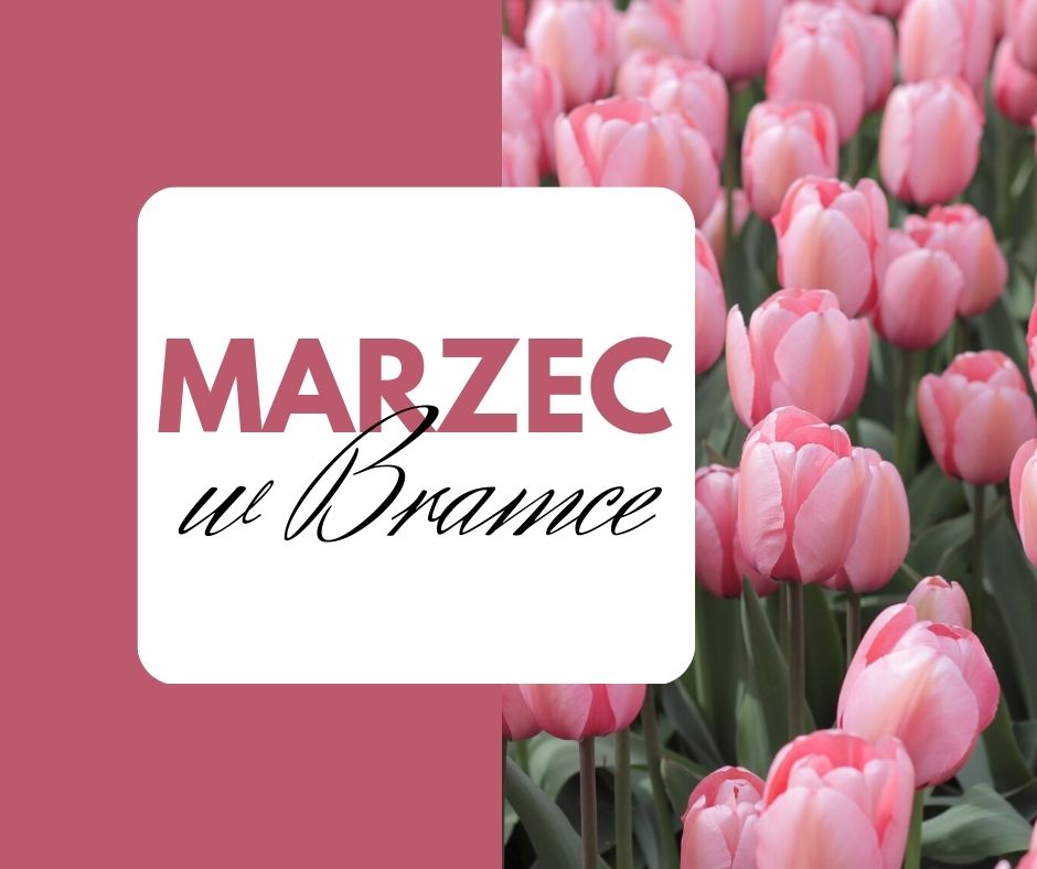 Read more about the article Marzec w Bramce