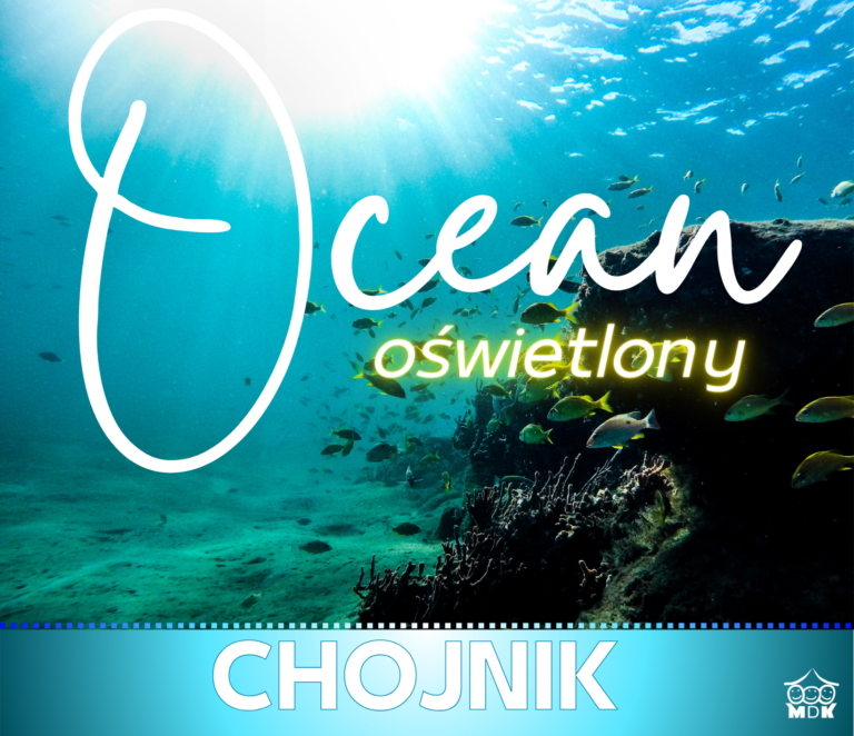 Read more about the article Ocean oświetlony