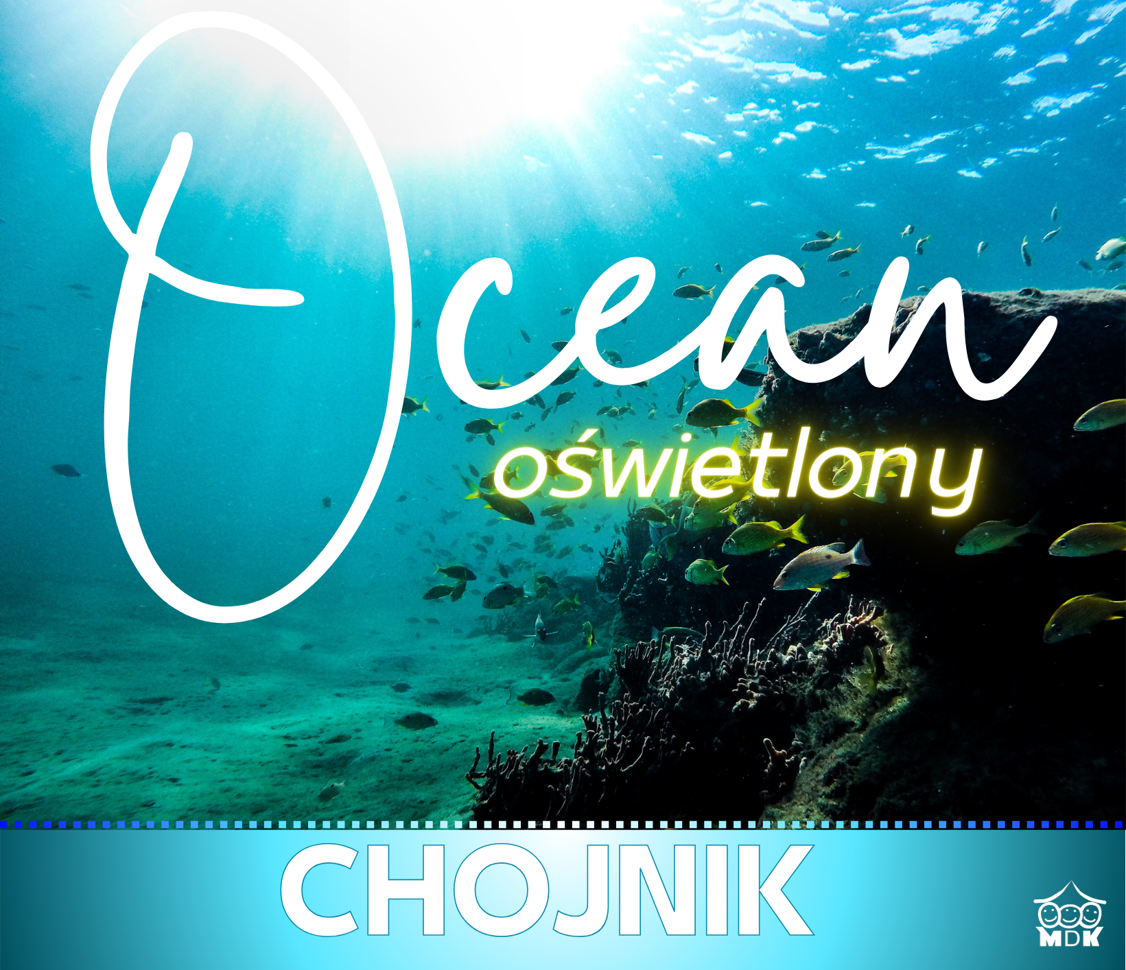 You are currently viewing Ocean oświetlony