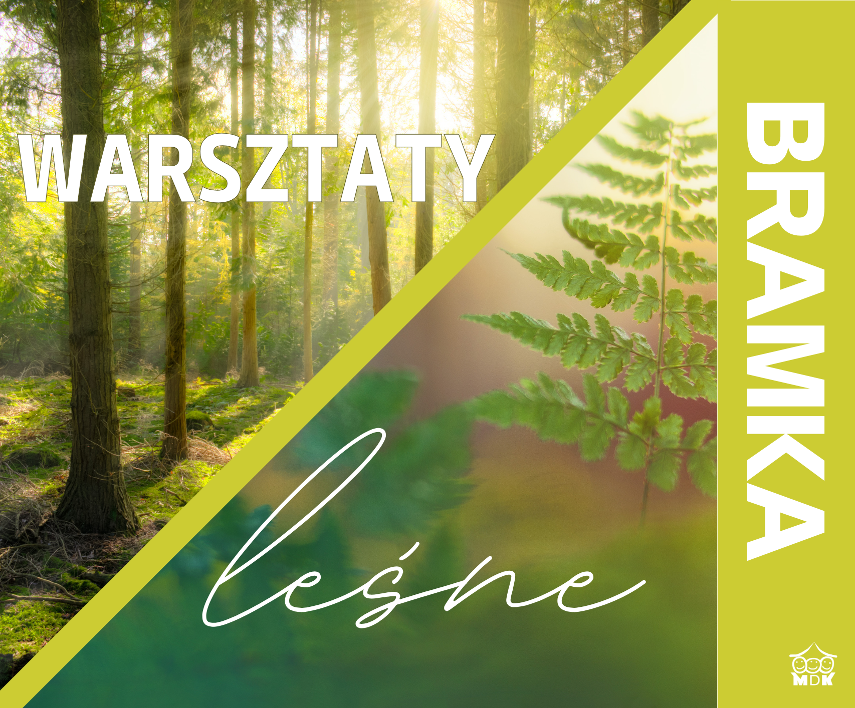Read more about the article Warsztaty leśne w Bramce